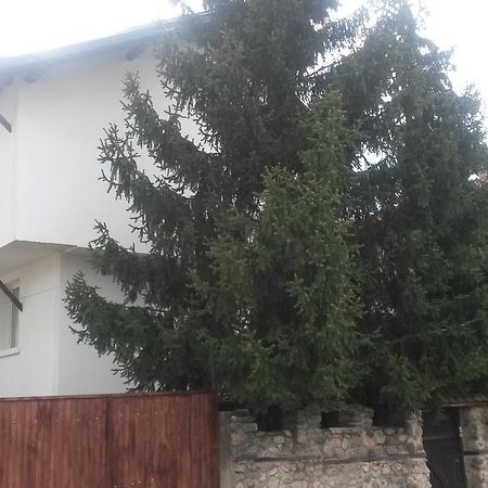 Guest House Khizhina - Easy Home Сапарева Баня Екстер'єр фото